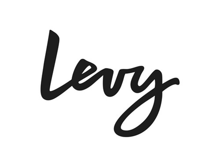 Levy Logo 01 (1)